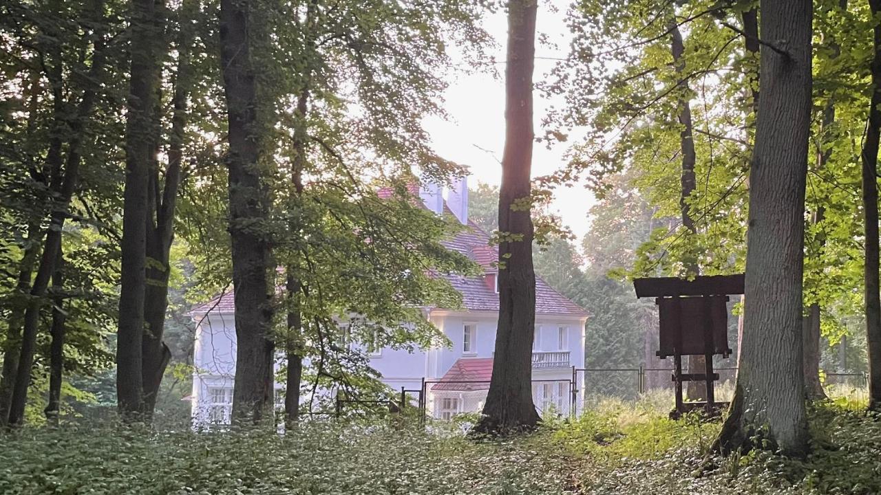 Anser Hotel